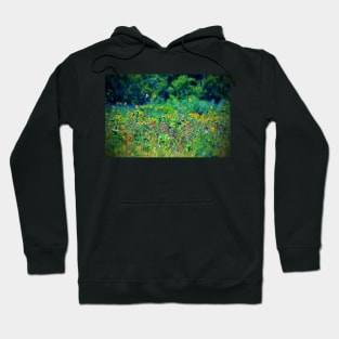 Wildflowers Hoodie